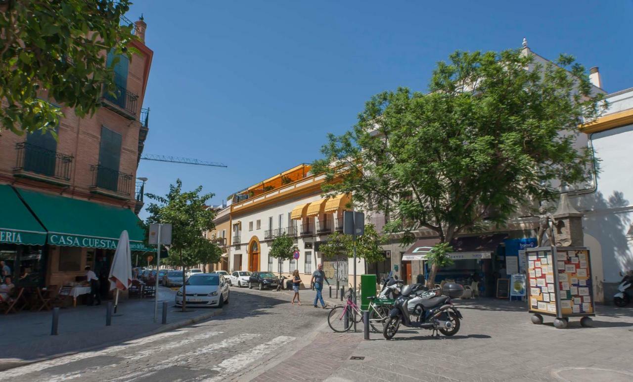 Pureza Oasis Apartamento